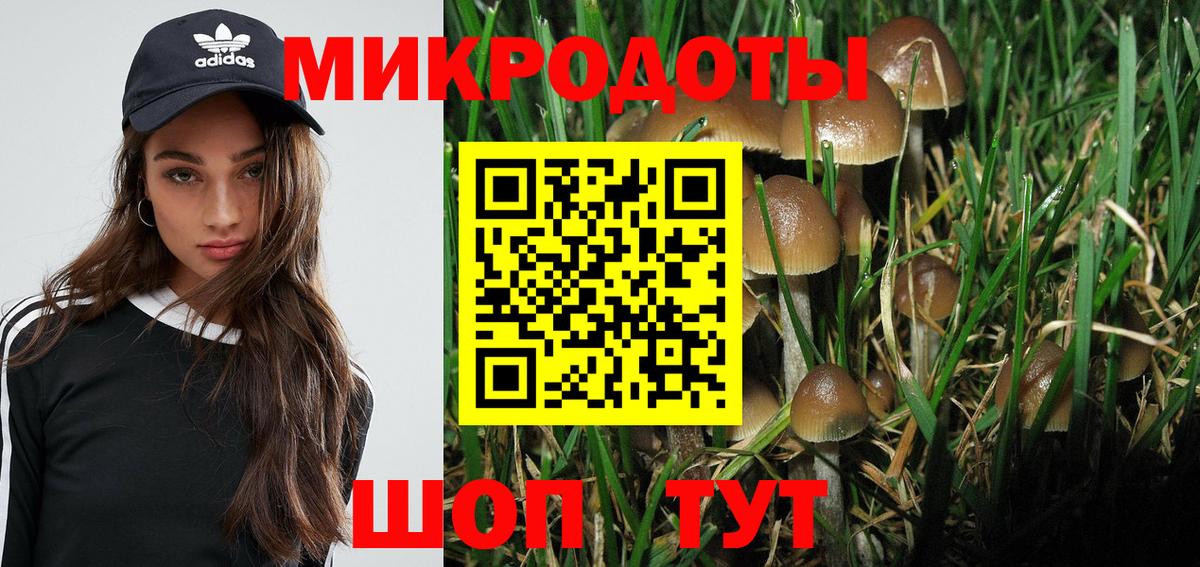 Псилоцибиновые грибы прущие грибы Луга
