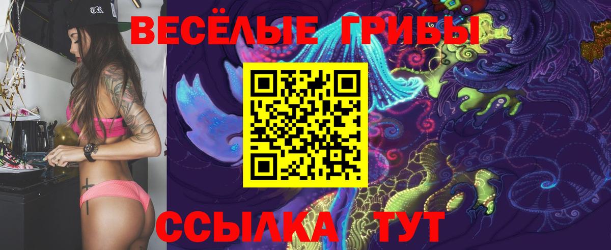 Луга  Галлюциногенные грибы прущие грибы  Вход с VPN  Галлюциногенные грибы Psilocybine cubensis 